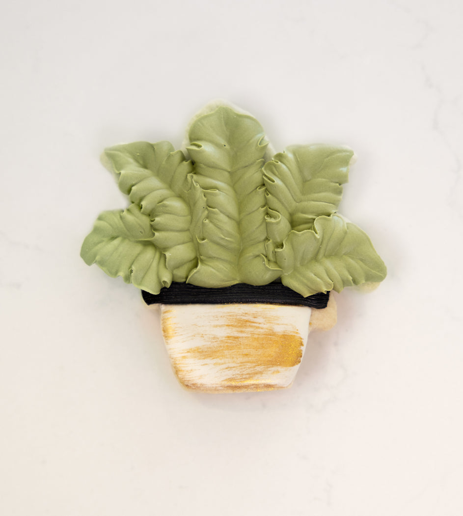 Designer Home-Themed Cookies (8-cookie box)